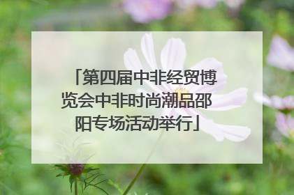第四届中非经贸博览会中非时尚潮品邵阳专场活动举行