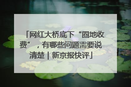 网红大桥底下“圈地收费”，有哪些问题需要说清楚｜新京报快评