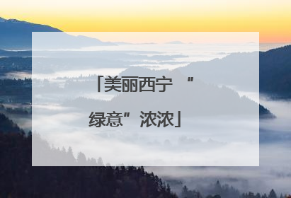 美丽西宁 “绿意”浓浓