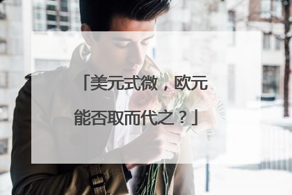 美元式微，欧元能否取而代之？
