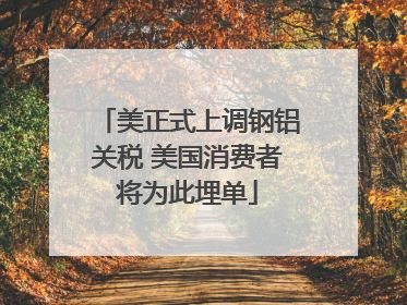美正式上调钢铝关税 美国消费者将为此埋单
