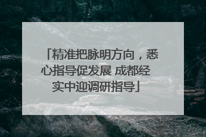 精准把脉明方向，悉心指导促发展 成都经实中迎调研指导