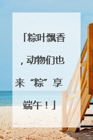 粽叶飘香，动物们也来“粽”享端午！