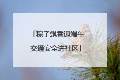 粽子飘香迎端午 交通安全进社区