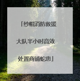 纱帽消防救援大队半小时高效处置商铺蛇患