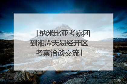 纳米比亚考察团到湘潭天易经开区考察洽谈交流