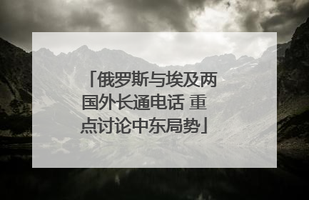 俄罗斯与埃及两国外长通电话 重点讨论中东局势
