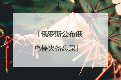 俄罗斯公布俄乌停火备忘录