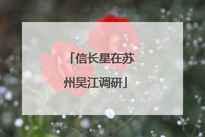 信长星在苏州吴江调研