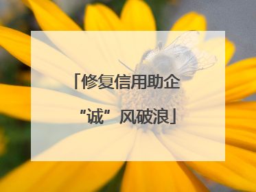 修复信用助企“诚”风破浪