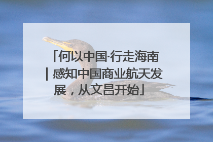 何以中国·行走海南｜感知中国商业航天发展，从文昌开始