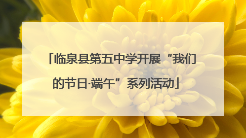 临泉县第五中学开展“我们的节日·端午”系列活动
