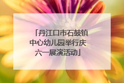 丹江口市石鼓镇中心幼儿园举行庆六一展演活动