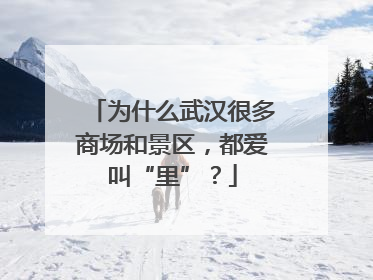 为什么武汉很多商场和景区，都爱叫“里”？