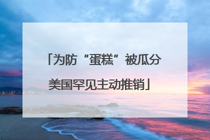 为防“蛋糕”被瓜分 美国罕见主动推销