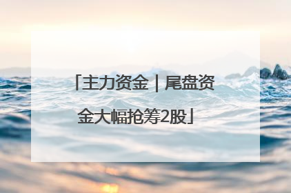 主力资金｜尾盘资金大幅抢筹2股