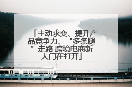 主动求变、提升产品竞争力、“多条腿”走路 跨境电商新大门在打开