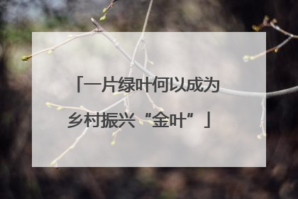 一片绿叶何以成为乡村振兴“金叶”