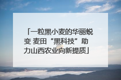 一粒黑小麦的华丽蜕变 麦田“黑科技”助力山西农业向新提质