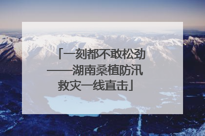 一刻都不敢松劲——湖南桑植防汛救灾一线直击