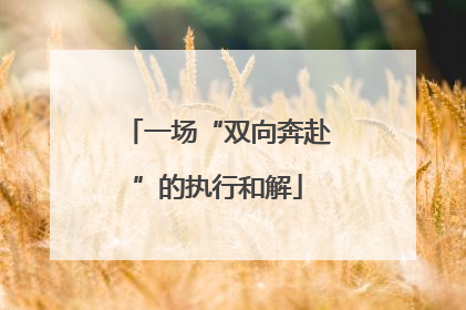 一场“双向奔赴”的执行和解
