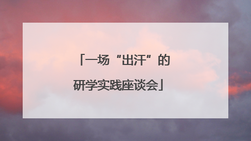 一场“出汗”的研学实践座谈会