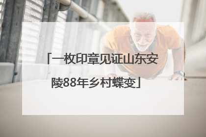 一枚印章见证山东安陵88年乡村蝶变