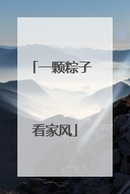 一颗粽子看家风