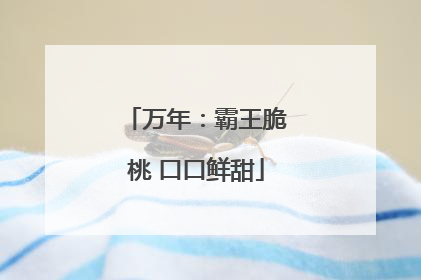 万年：霸王脆桃 口口鲜甜