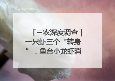 三农深度调查｜一只虾三个“转身”，鱼台小龙虾消费季升级