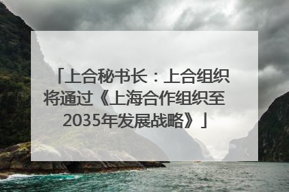 上合秘书长：上合组织将通过《上海合作组织至2035年发展战略》