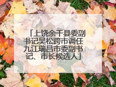 上饶余干县委副书记吴松跨市调任九江瑞昌市委副书记、市长候选人