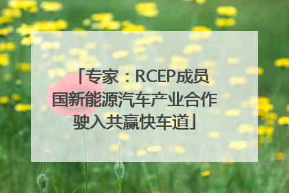 专家：RCEP成员国新能源汽车产业合作驶入共赢快车道