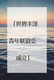 世界丰泽青年联谊会成立