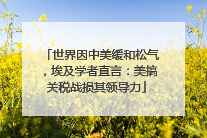 世界因中美缓和松气，埃及学者直言：美搞关税战损其领导力