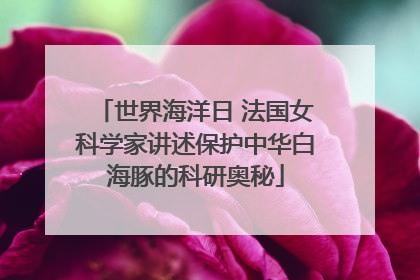 世界海洋日 法国女科学家讲述保护中华白海豚的科研奥秘