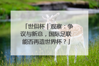 世俱杯｜观察：争议与新意，国际足联能否再造世界杯？