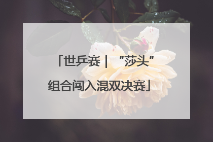 世乒赛｜“莎头”组合闯入混双决赛