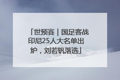 世预赛｜国足客战印尼25人大名单出炉，刘若钒落选
