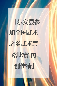 东安县参加全国武术之乡武术套路比赛 再创佳绩