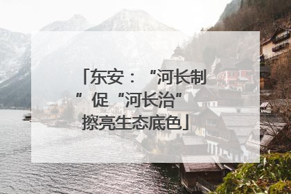 东安：“河长制”促“河长治” 擦亮生态底色
