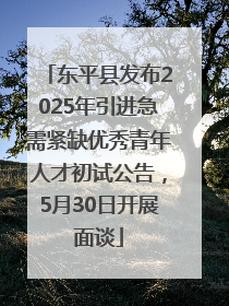 东平县发布2025年引进急需紧缺优秀青年人才初试公告，5月30日开展面谈