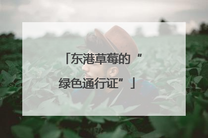 东港草莓的“绿色通行证”