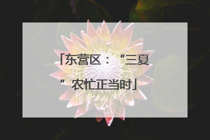 东营区：“三夏”农忙正当时