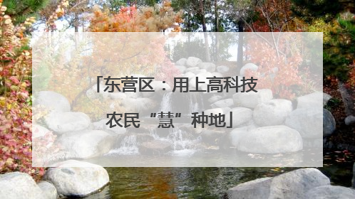 东营区：用上高科技 农民“慧”种地