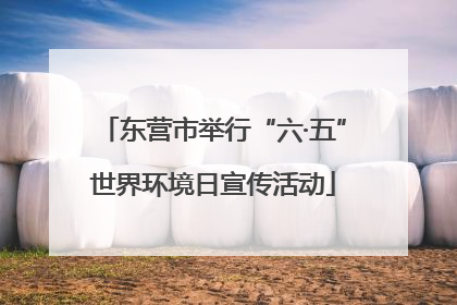 东营市举行“六·五”世界环境日宣传活动
