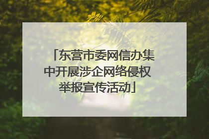 东营市委网信办集中开展涉企网络侵权举报宣传活动