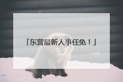 东营最新人事任免！