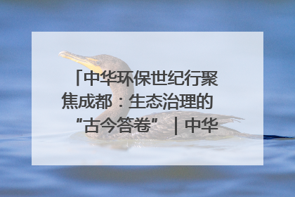 中华环保世纪行聚焦成都：生态治理的“古今答卷”｜中华环保世纪行