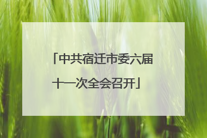中共宿迁市委六届十一次全会召开